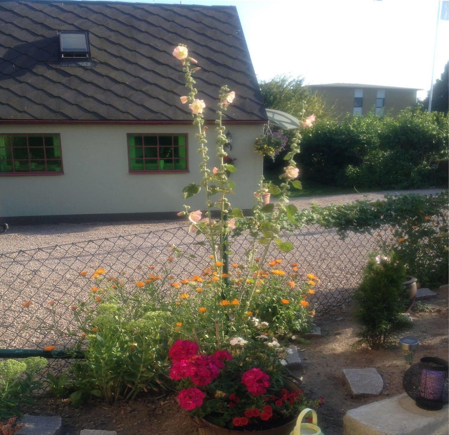 Vivans Bed And Self Catering Kristianstad Exteriör bild